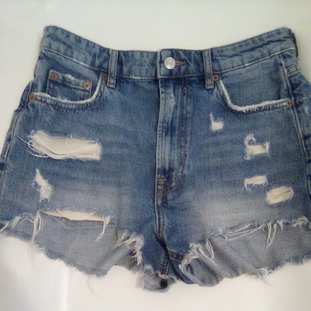 Zara The HW Short Size 4 Distressed Casual Summer Vacation